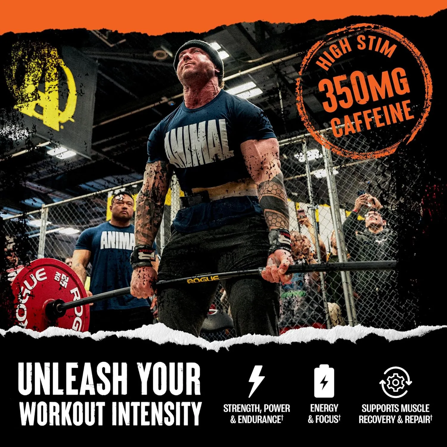 Animal Fury - Pre Workout Powder Supplement for Energy and Focus - 5g BCAA, 350mg Caffeine, Nitric Oxide, Without Creatine - Powerful Stimulant for Bodybuilders - Ice Pop
