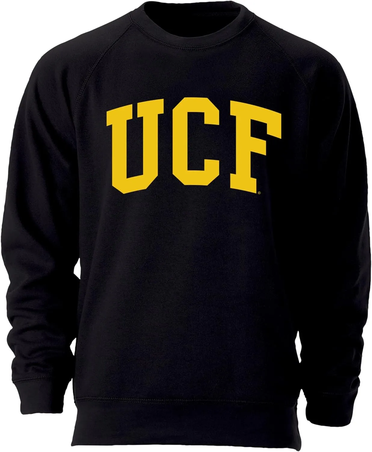 Barnesmith Crewneck Sweatshirt for College, Classic Logo, Color, Adult Unisex