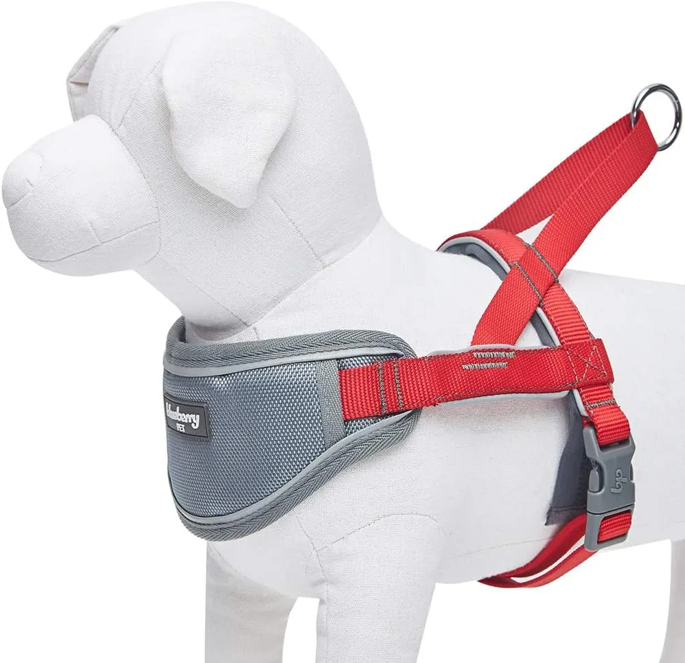 Blueberry Pet 8 Colors Soft & Comfy 3M Reflective Strips Padded Dog Harness Vest, Chest Girth 30" - 38.5", Red, Large, Nylon Adjustable Training Harnesses for Dogs