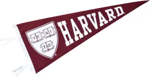 College Pennants, Full-Size, 12" x 30" Banner