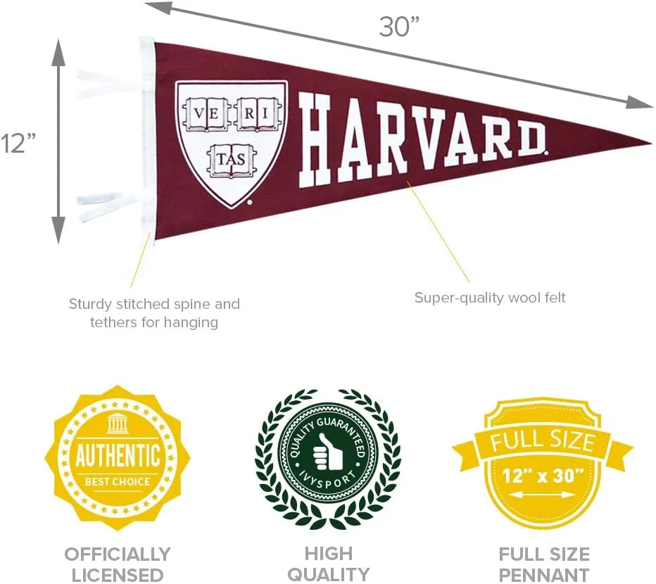 College Pennants, Full-Size, 12" x 30" Banner