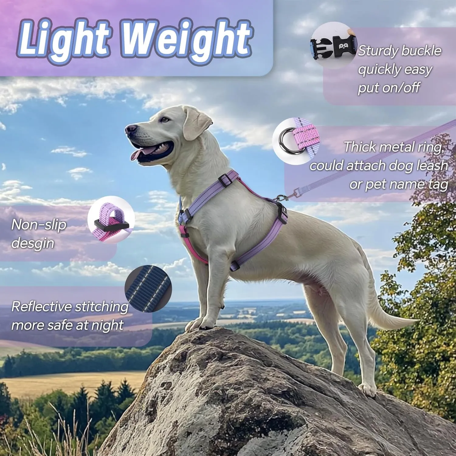 Dog Harness Leash Set, No Pull Adjustable Halter Cute Comfort Padded Handle for Medium Sized Large Small Dogs Walking Training Running with Reflective（Small,Red Blue）