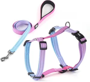 Dog Harness Leash Set, No Pull Adjustable Halter Cute Comfort Padded Handle for Medium Sized Large Small Dogs Walking Training Running with Reflective（Small,Red Blue）
