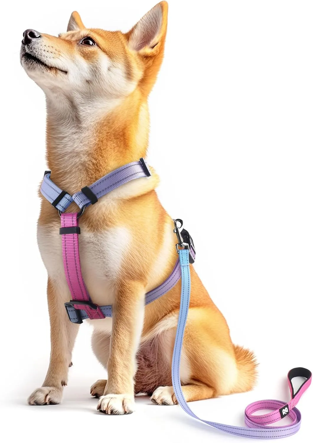 Dog Harness Leash Set, No Pull Adjustable Halter Cute Comfort Padded Handle for Medium Sized Large Small Dogs Walking Training Running with Reflective（Small,Red Blue）
