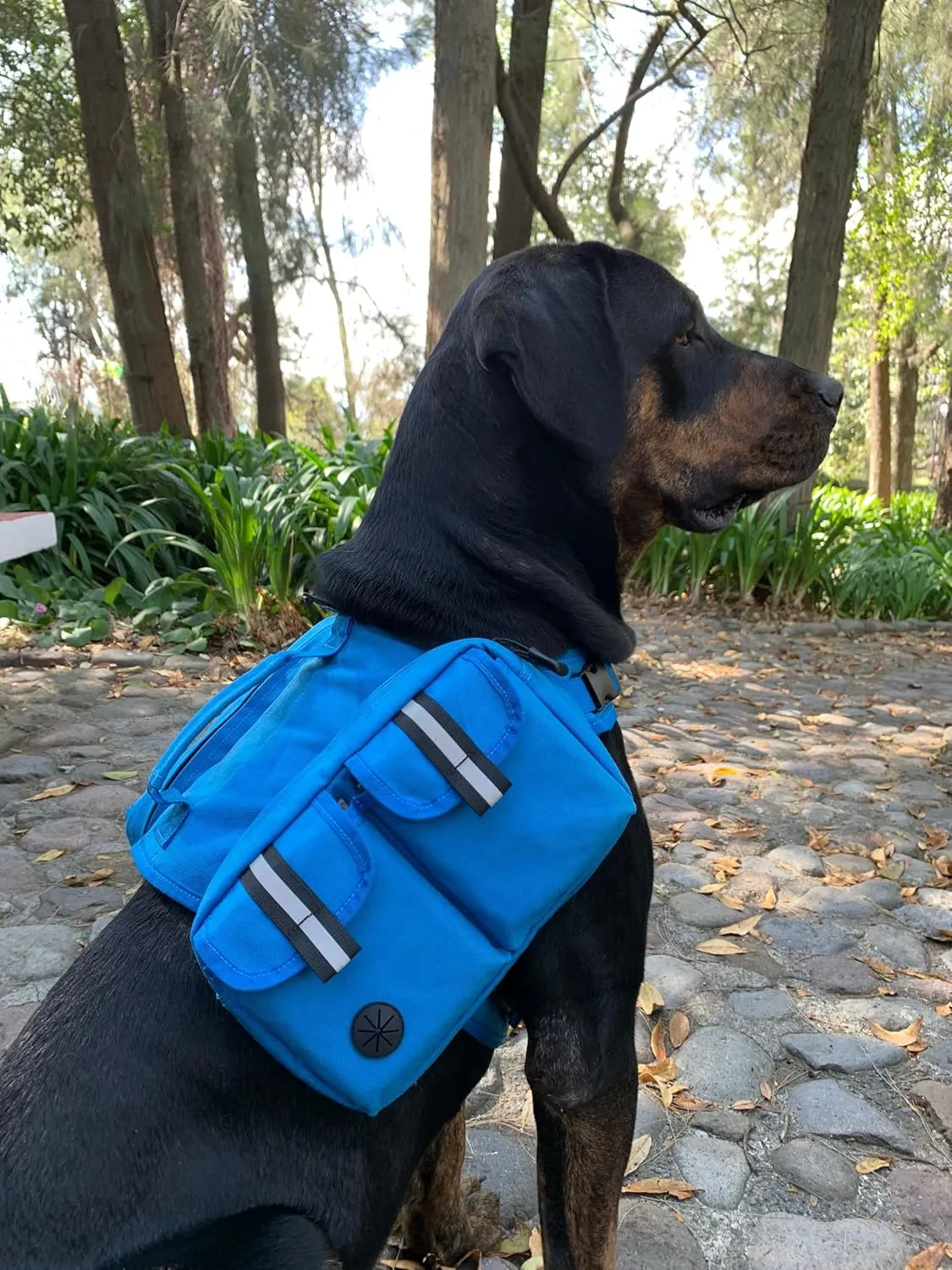 Dog Hiking Backpack Saddle Bag Medium Dogs Adjustable Harness Reflective Straps Side Pockets Breathable Fabric Outdoor Walking Travel Lightweight Durable Design Ideal Pet Gear Adventure Use