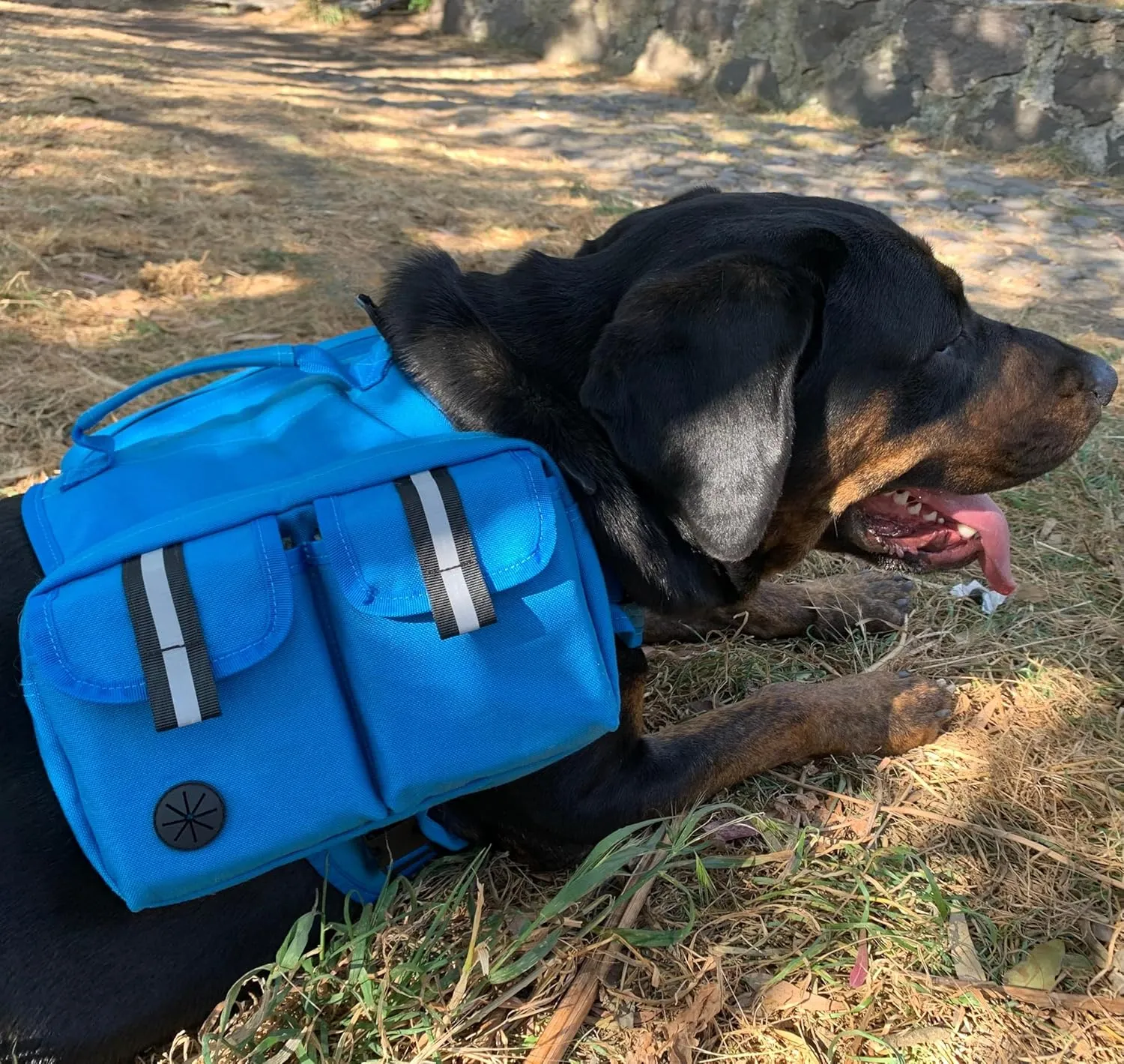 Dog Hiking Backpack Saddle Bag Medium Dogs Adjustable Harness Reflective Straps Side Pockets Breathable Fabric Outdoor Walking Travel Lightweight Durable Design Ideal Pet Gear Adventure Use