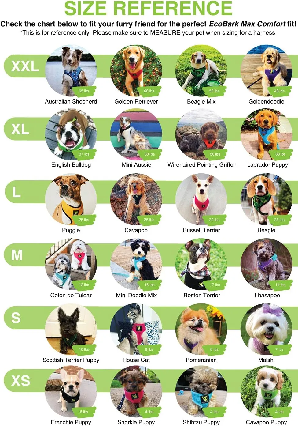 EcoBark Dog Harness - Eco-Friendly Max Comfort Harnesses - Luxurious Soft Mesh Halter - Over The Head Harness Vest- No Pull and No Choke for Puppy, Toy Breeds & Small Dogs (Small, Baby Blue)