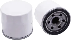 Engine Oil Filter 119305-35151 119305-35170 Compatible with Yanmar 1GM 2GM 3GM 3JH2 3YM20 3YM30 2 Packs
