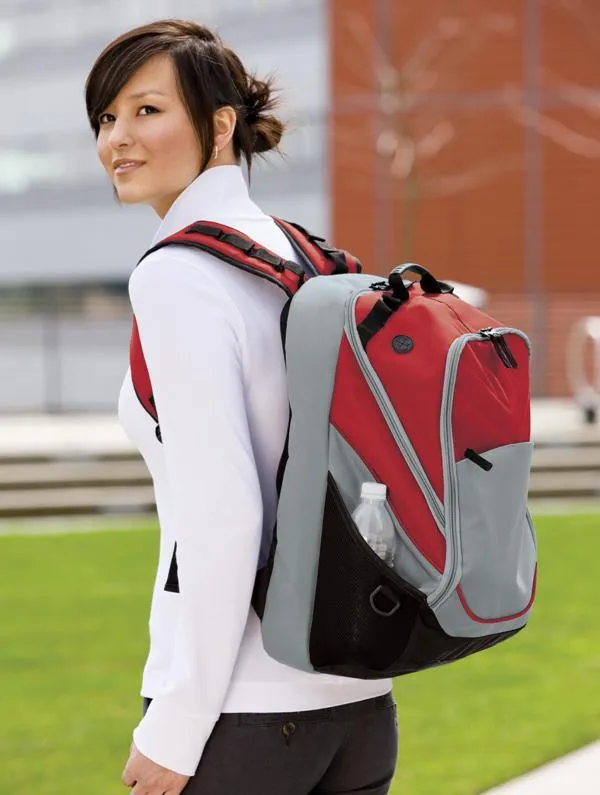 Ergonomic Large Computer Backpack for up to 17 in Laptops