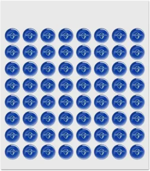 Franklin & Marshall College Primary Logo 0.5" Puffy Bubble Dome Scrapbooking Crafting Sticker Set