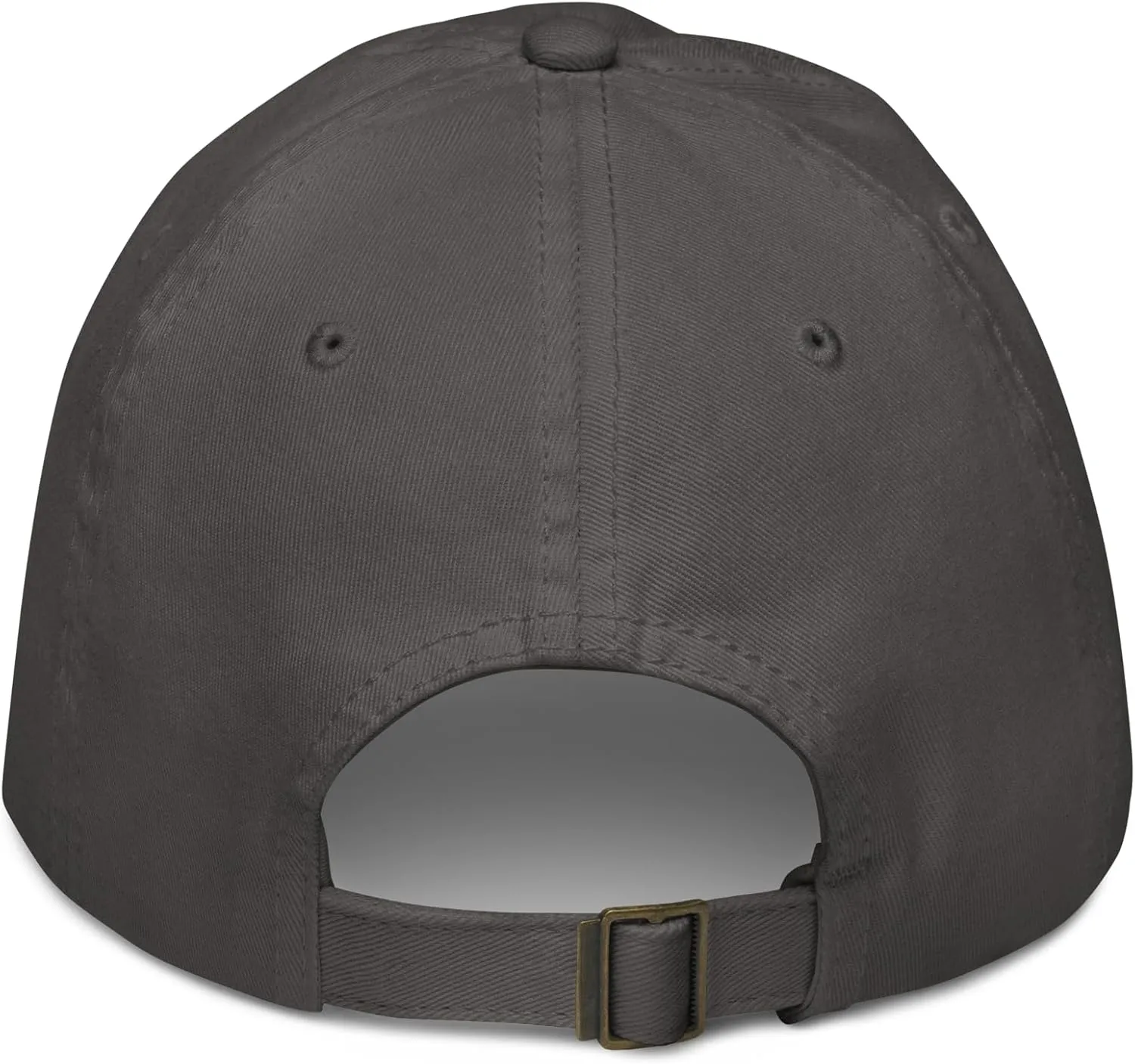 Franklin & Marshall Diplomats Title Officially Licensed Adjustable Baseball Hat