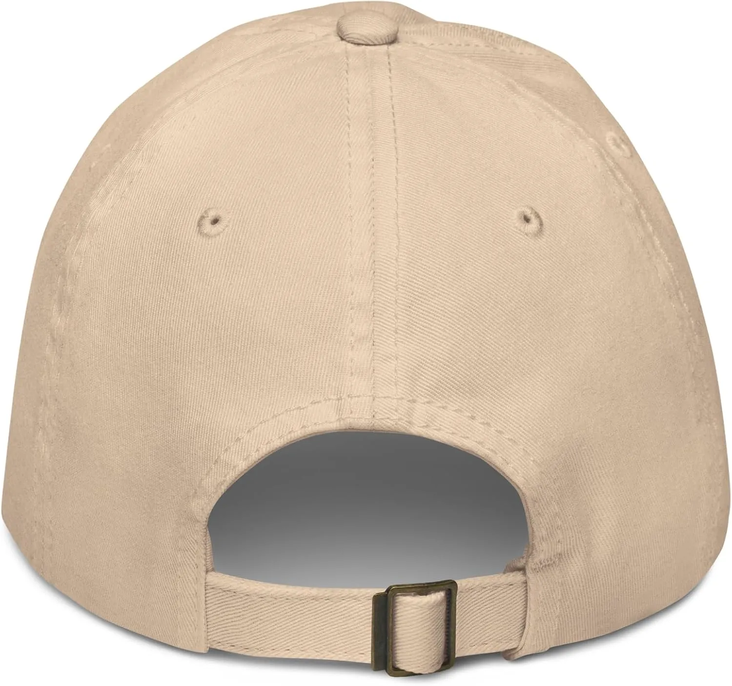 Franklin & Marshall Diplomats Title Officially Licensed Adjustable Baseball Hat