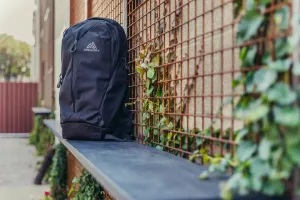 Gregory Rhune 20 Everyday Pack,One Size,Sunset Blue