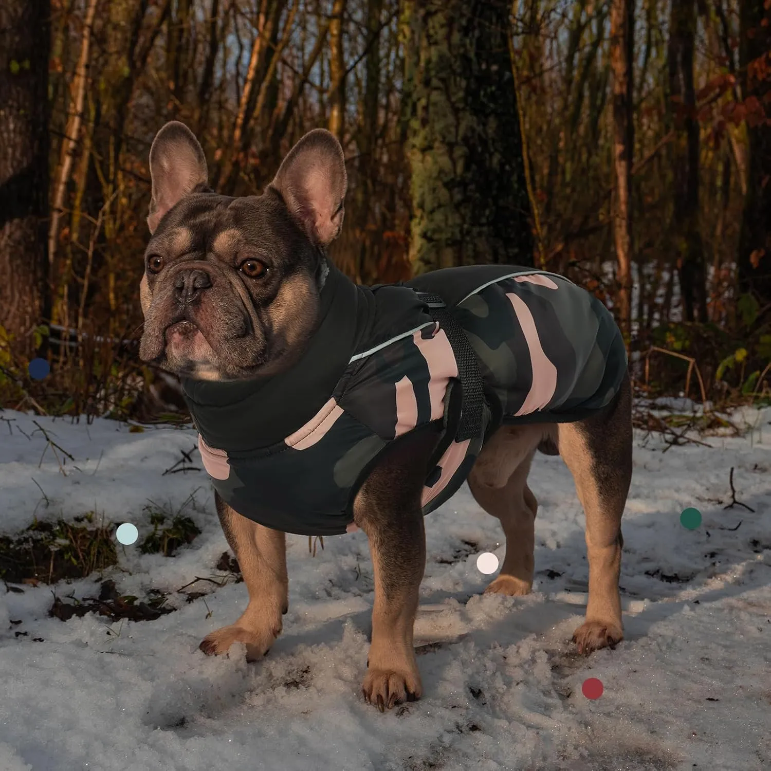 IECOii Extra Warm Dog Coat - Reflective Adjustable Jacket With Buckle Fleece Turtleneck for Cold Weather - Soft Winter Coat for Small Medium Extra Large Dogs