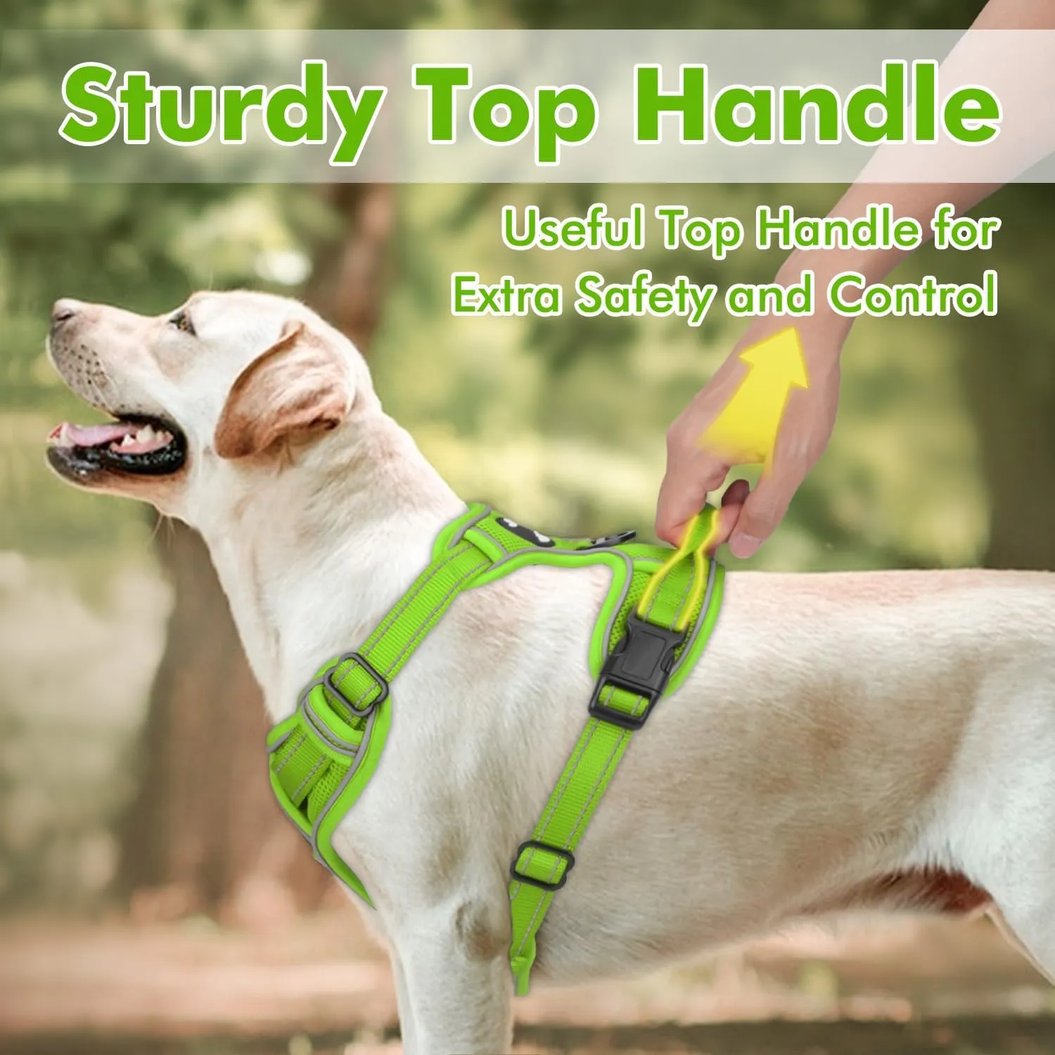 Joytale Step-in No Pull Dog Harness for Small Dogs with 2 Leash Clips, Reflective Pet Vest with Easy Control Handle, Adjustable Soft Padded Harness for Walking and Training, Green,S