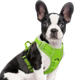 Joytale Step-in No Pull Dog Harness for Small Dogs with 2 Leash Clips, Reflective Pet Vest with Easy Control Handle, Adjustable Soft Padded Harness for Walking and Training, Green,S