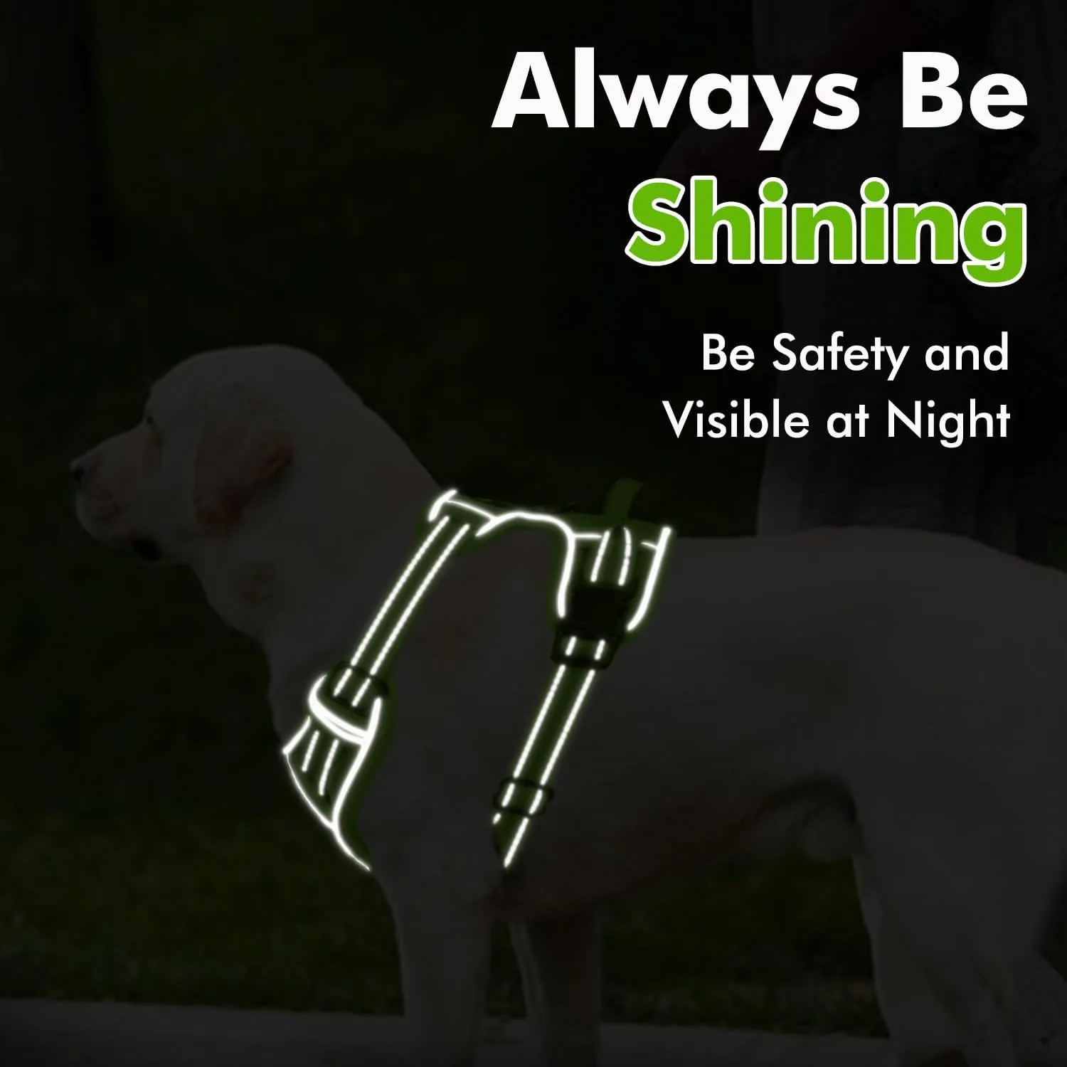 Joytale Step-in No Pull Dog Harness for Small Dogs with 2 Leash Clips, Reflective Pet Vest with Easy Control Handle, Adjustable Soft Padded Harness for Walking and Training, Green,S