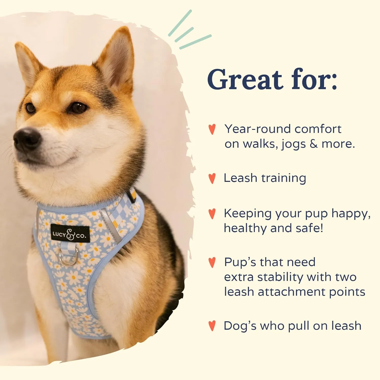 Lucy & Co. The Simply Splendid No-Pull Dog Harness – Size X-Small – Vest to Stop Pulling & Walk Easy – Comfortable Leash Training Product w/Adjustable Chest & Neck Straps