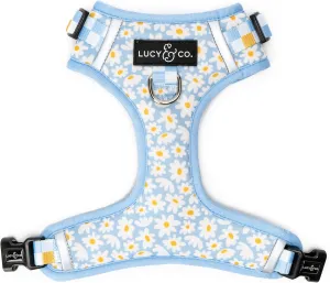 Lucy & Co. The Simply Splendid No-Pull Dog Harness – Size X-Small – Vest to Stop Pulling & Walk Easy – Comfortable Leash Training Product w/Adjustable Chest & Neck Straps