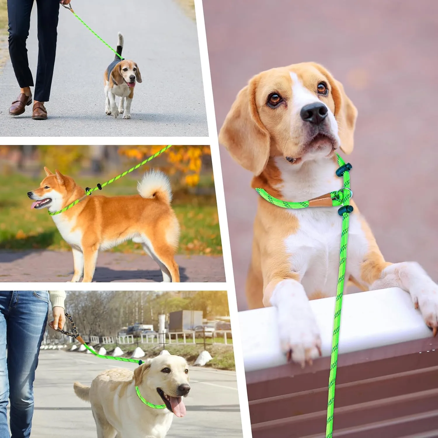 lynxking Slip Lead Dog Leash Reflective, Heavy Duty Comfortable Strong Rope Lead for Large, Medium Dogs, No Pull Pet Training (Light Green, Large 1/2in x 6ft-Slip Lead)
