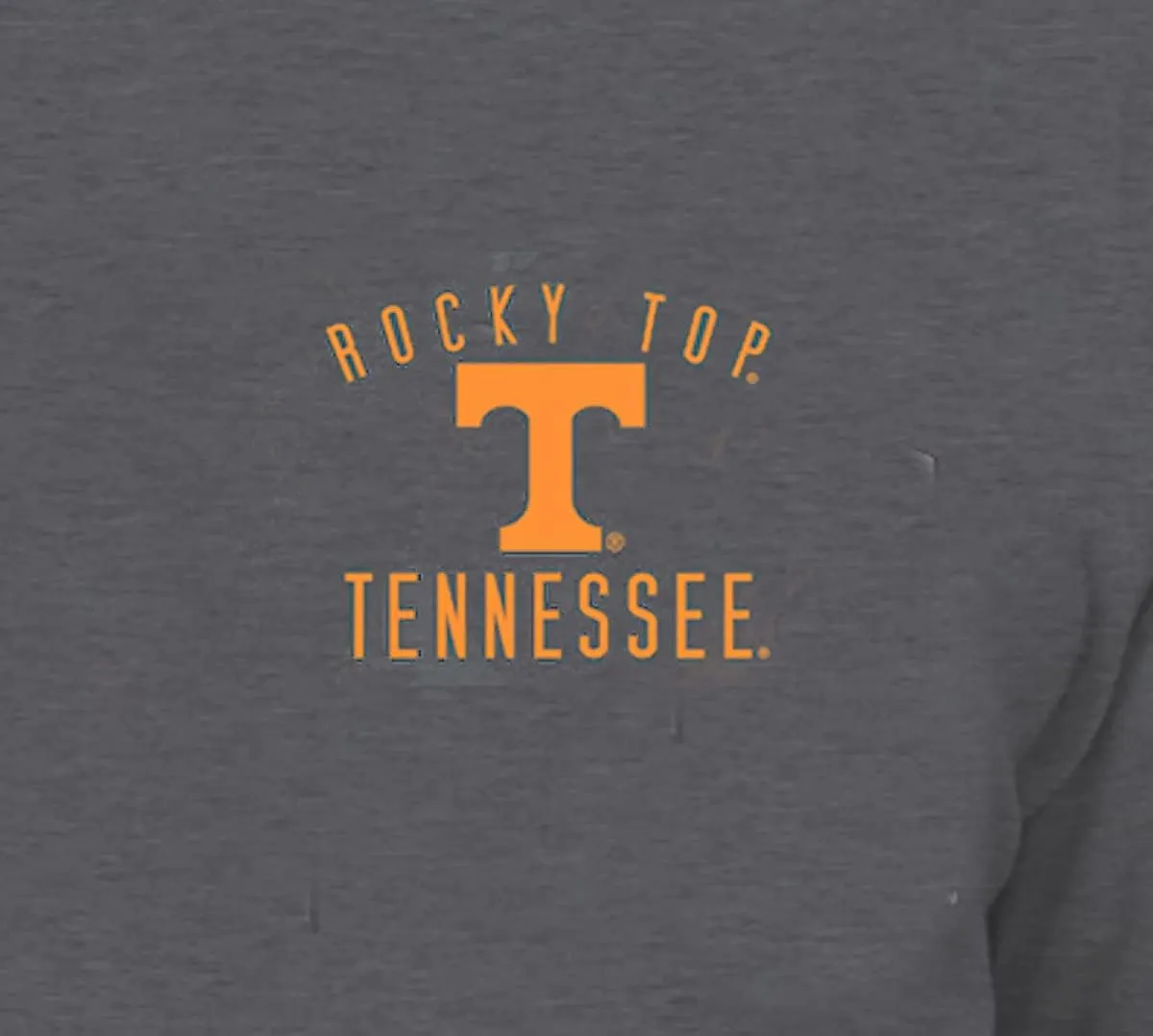 New World Graphics Tennessee Vols Men's Grey 2 Sided Life is Better Long Sleeve T Shirt