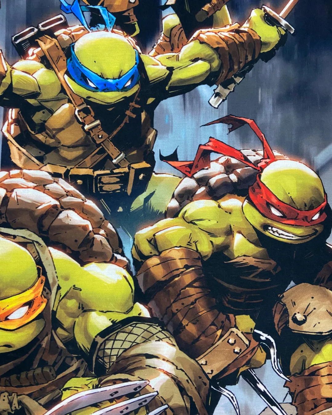 Ninja Turtles Battle Stance Oversized T-shirt