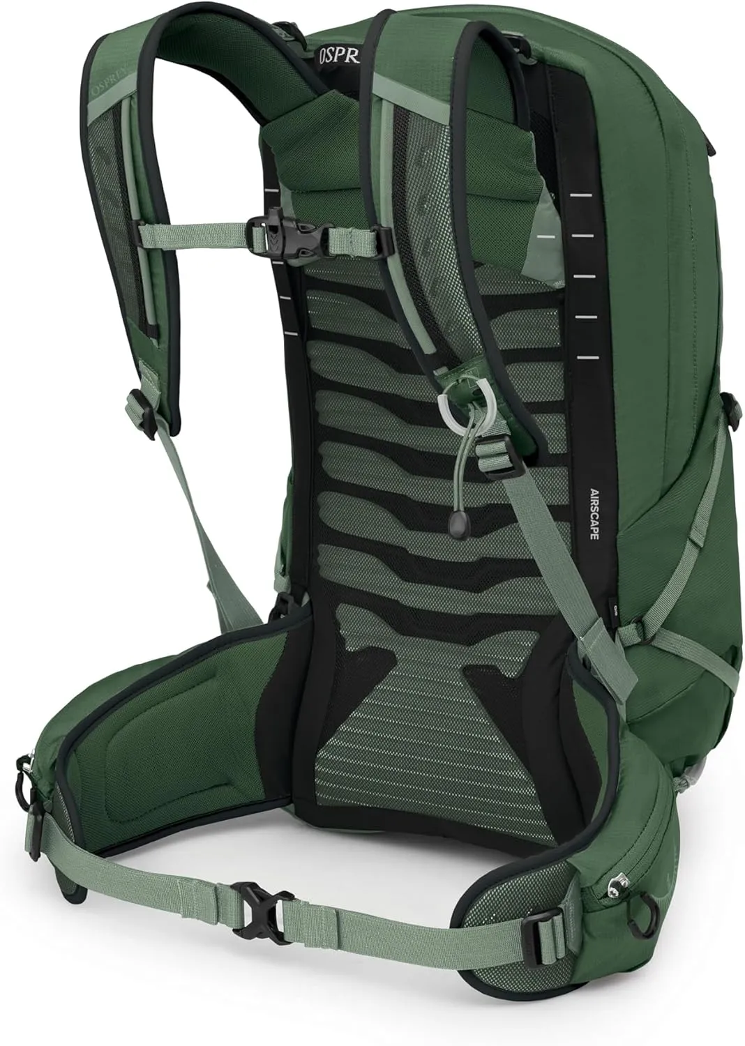 Osprey Talon 22L Men's Lightweight Hiking Backpack with Hipbelt, Green Canopy/Pine Leaf