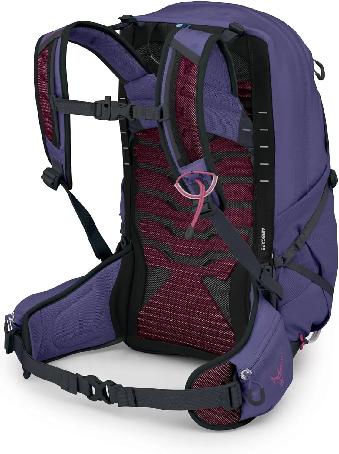 Osprey Tempest 22L Women's Lightweight Hiking Backpack with Hipbelt, Deep Fig/Hotspot Pink