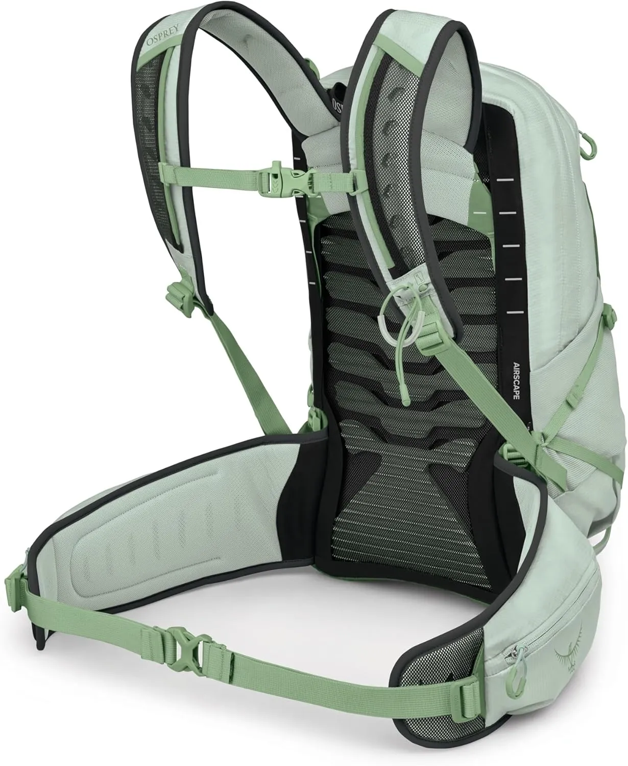 Osprey Tempest 22L Women's Lightweight Hiking Backpack with Hipbelt, Frosty Mint Green/Botanica
