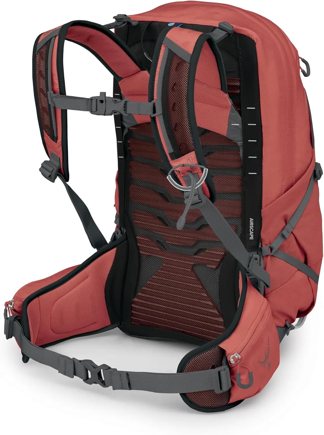 Osprey Tempest 22L Women's Lightweight Hiking Backpack with Hipbelt, Red Pampas/Coal Grey