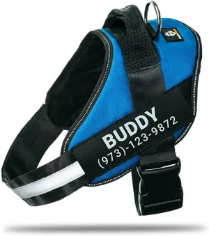 Personalized No-Pull Dog Harness with Name Patch, Adjustable, Reflective, Padded, Heavy Duty Pet Vest to Prevent Tugging, Pulling, or Choking, Training and Walking, Blue, XS