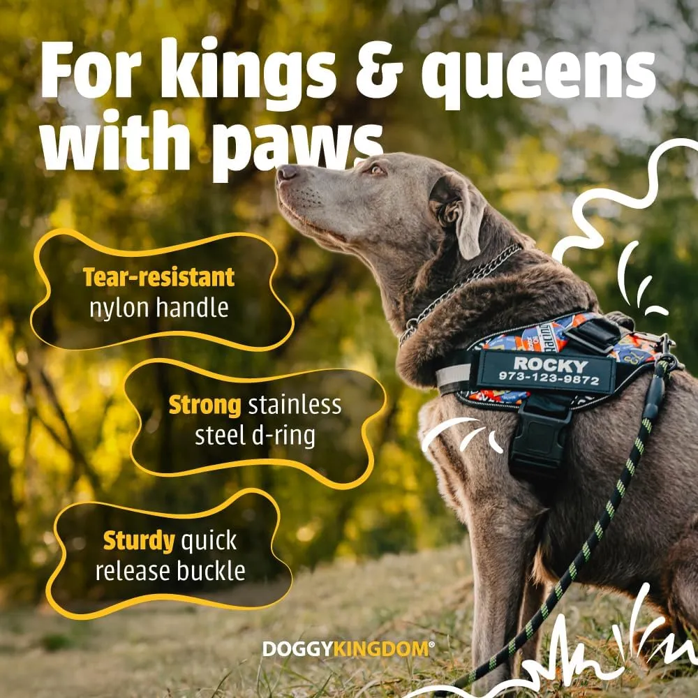 Personalized No-Pull Dog Harness with Name Patch, Adjustable, Reflective, Padded, Heavy Duty Pet Vest to Prevent Tugging, Pulling, or Choking, Training and Walking, Motorsport, XS