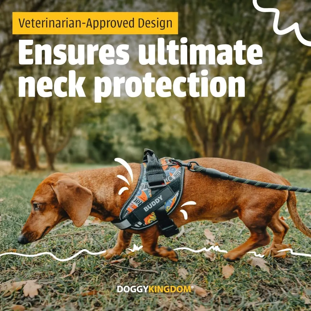 Personalized No-Pull Dog Harness with Name Patch, Adjustable, Reflective, Padded, Heavy Duty Pet Vest to Prevent Tugging, Pulling, or Choking, Training and Walking, Motorsport, XS