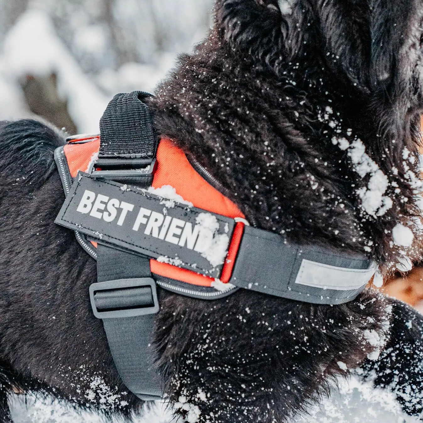 Personalized No-Pull Dog Harness with Name Patch, Adjustable, Reflective, Padded, Heavy Duty Pet Vest to Prevent Tugging, Pulling, or Choking, Training and Walking, Motorsport, XS