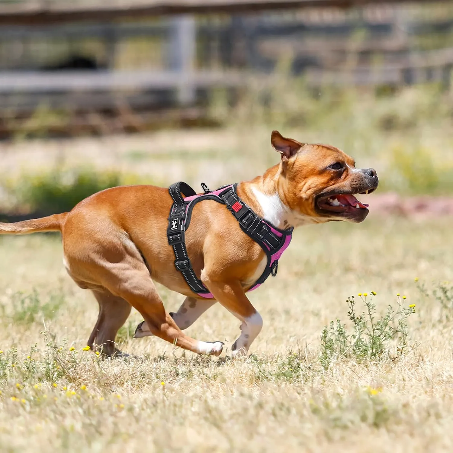 PoyPet No Pull Dog Harness, No Choke Front Lead Dog Reflective Harness, Adjustable Soft Padded Pet Vest with Easy Control Handle for Small to Large Dogs(Pink,S)