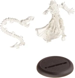 Privateer Press - Hordes - Skorne: Bloodrunner Master Tormentor Model Kit