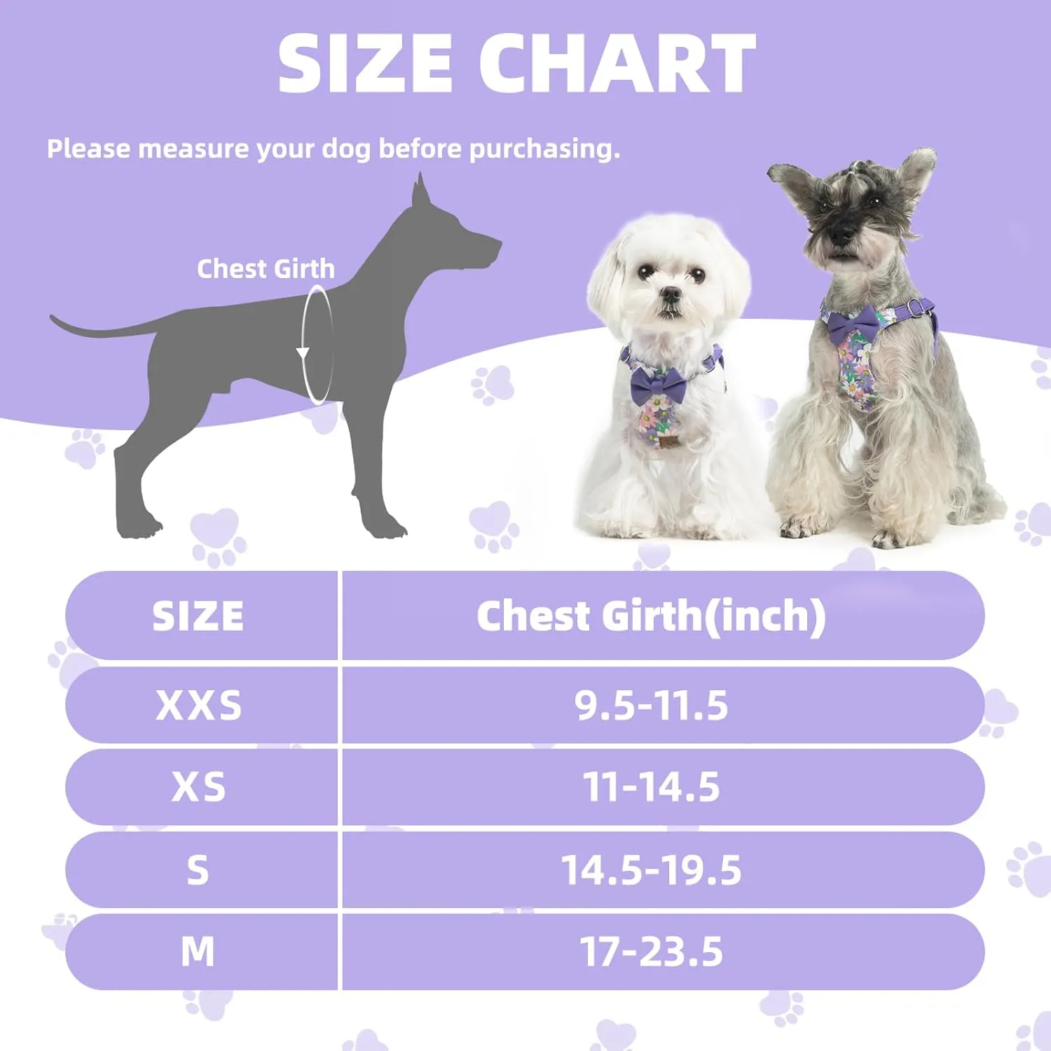 PUPTECK Dog Harness and Leash Set Small Sized, Step-in Cute Puppy Harness, Soft Lightweight Padded Vest, Escape Proof No Pull Pet Harnesses Easy for Walking, Flower Purple, S
