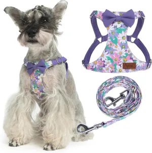 PUPTECK Dog Harness and Leash Set Small Sized, Step-in Cute Puppy Harness, Soft Lightweight Padded Vest, Escape Proof No Pull Pet Harnesses Easy for Walking, Flower Purple, S