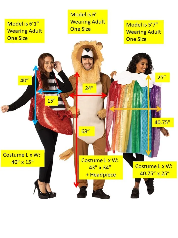 Ruby Slipper, Lion & Rainbow Halloween Group Costume, Adult One Size