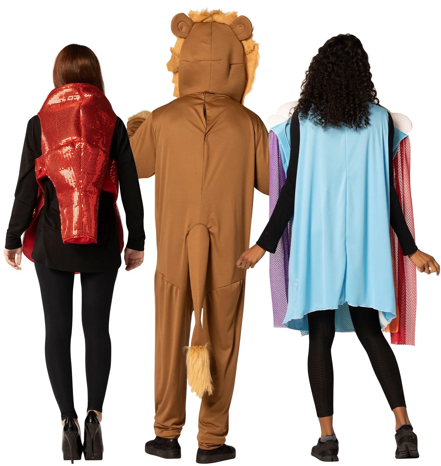 Ruby Slipper, Lion & Rainbow Halloween Group Costume, Adult One Size