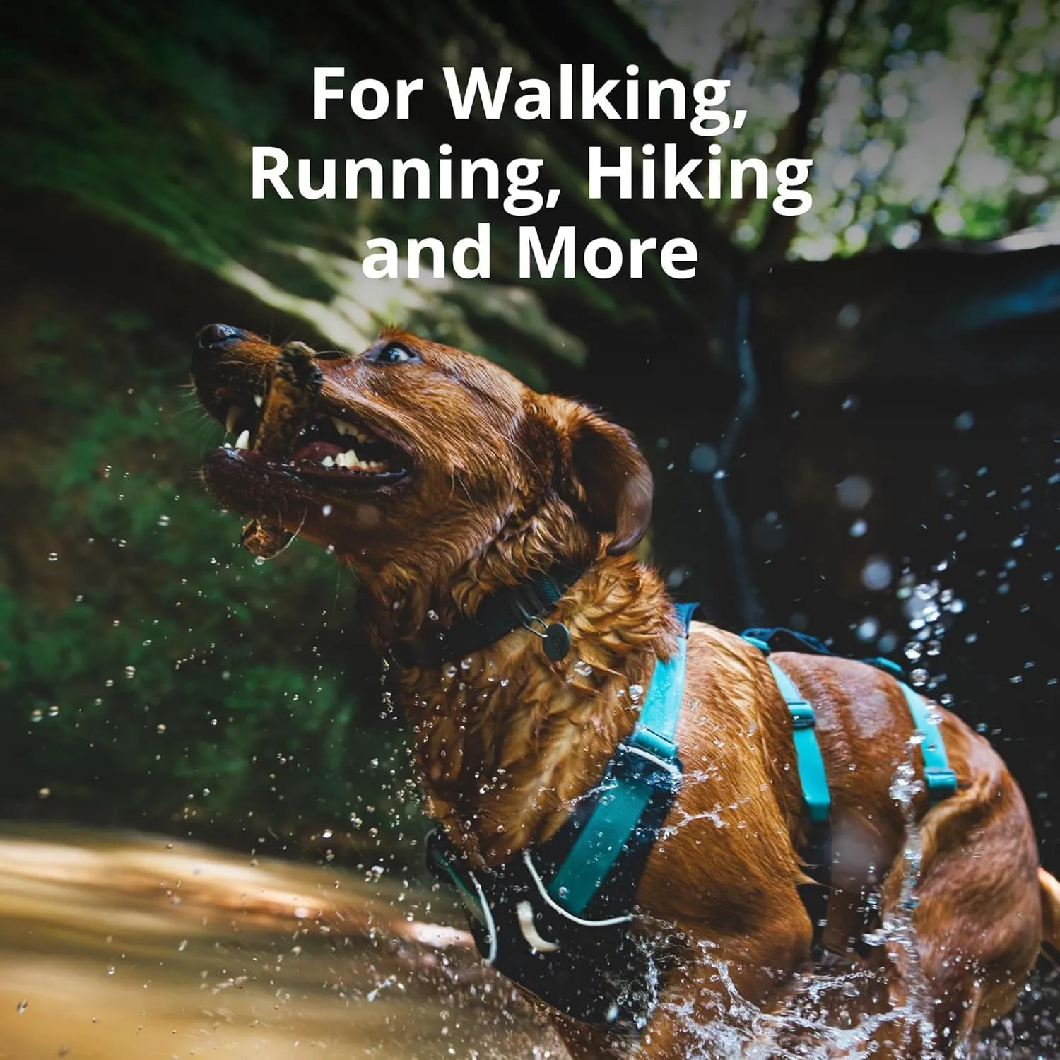Ruffwear, Flagline Dog Harness, Lightweight and Reflective, No Pull Dog Lift Harness for Hiking, Running and Everyday Use, Sage Green, Small