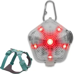 Ruffwear, Front Range Dog Harness & Beacon Light Bundle – No Pull Dog Harness with Rechargeable Light for Collar, Night Walking & Hiking, Adjustable Padded Vest, River Rock Green, XX-Small