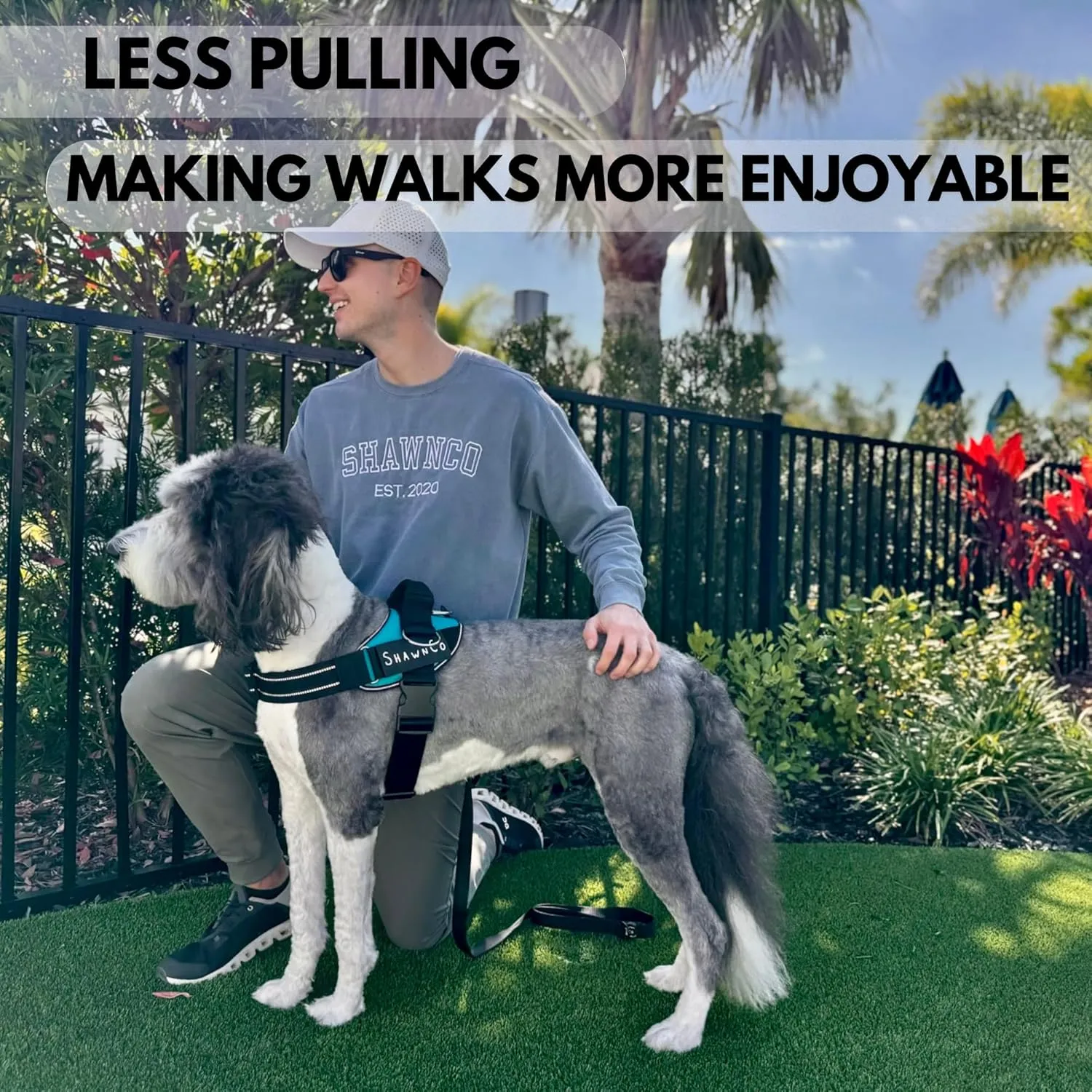 ShawnCo Essential Pro Dog Harness, No-Pull Pet Vest with 3 Leash Clips and Removable, Reflective Side Patches, Adjustable and Padded Harness for Small, Medium and Large Dogs (Orchid, M)