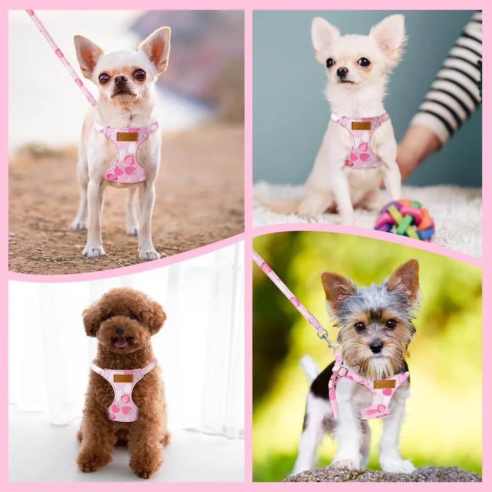 SlowTon No Pull Dog Harness with Leash - Soft Lightweight Floral Pattern Puppy Harness, Adjustable Pet Harness for Small Medium Dogs (Strawberry XS)