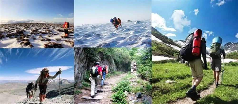 Trekking Poles, Trekking Hiking Poles, Adjustable Walking Sticks, Portable, Lightweight, Suitable for Hiking, Camping, Climbing, Outdoor