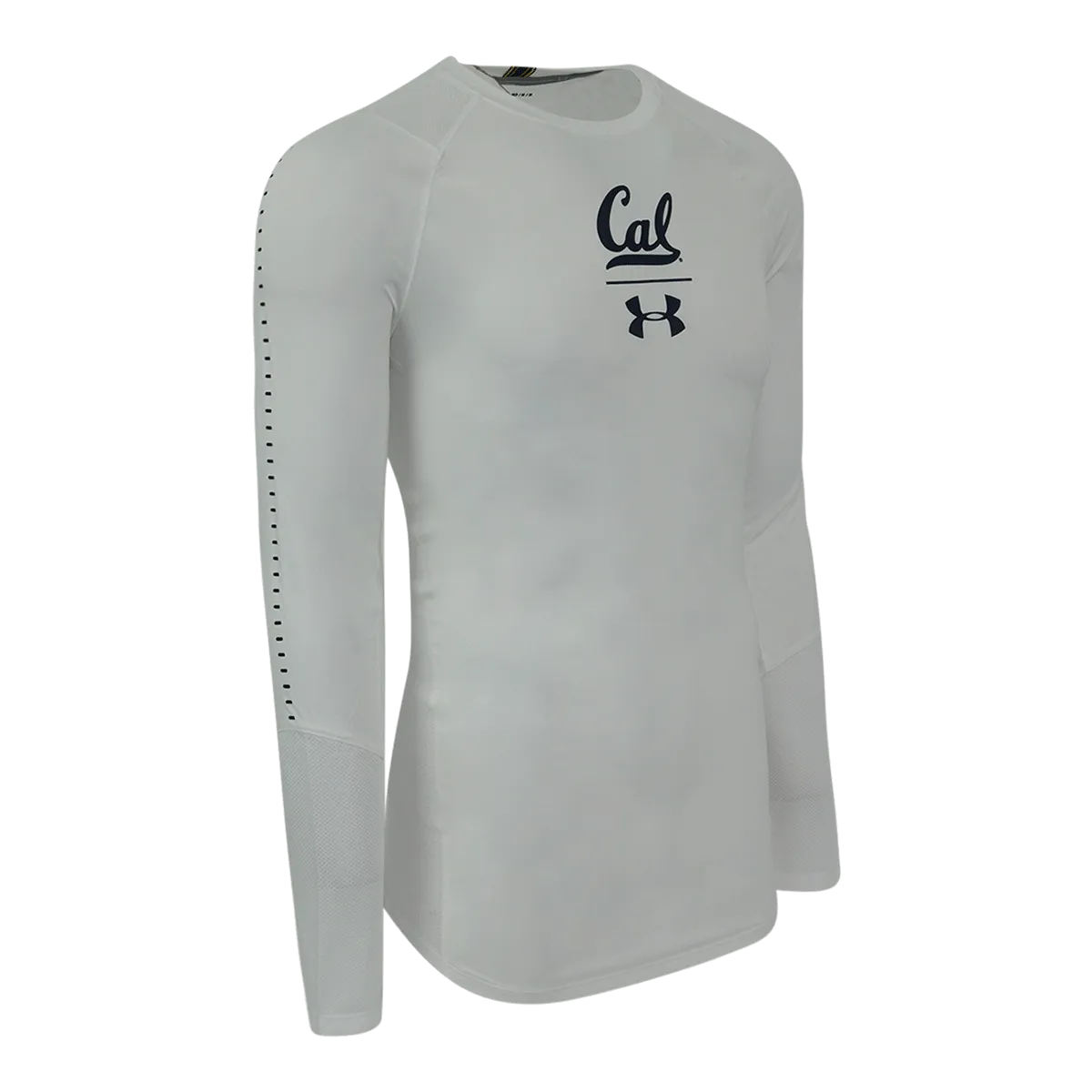 Under Armour Men's College L/S T-Shirt