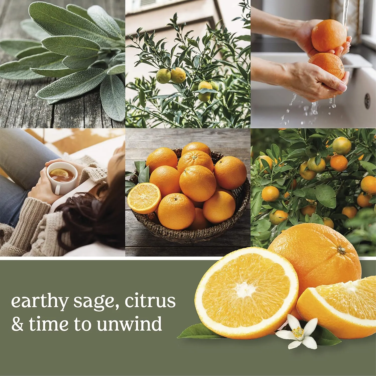 Yankee Candle Sage & Citrus Scent, Pack of 18 Wax Melts for Candle Making, Perfect for Wax Warmers and Aromatherapy